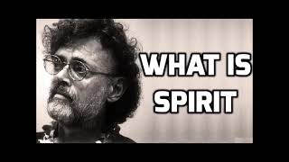 Terence McKenna  What Is Spirit [upl. by Airotkciv947]