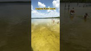 Laguna Kaan Luum  Tulum  Mexico 🇲🇽 mftravels kenyouseeme mexico [upl. by Icats]