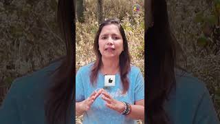 Devta amp EnergyBody 7 Chakra Deities Heal yourself Chakras explained in Hindi Cosmic Connect [upl. by Atiuqat]