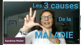 Les 3 origines de TOUTE MALADIE et comment inverser pour se soigner [upl. by Berl]