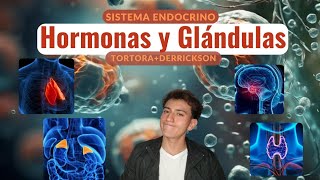 TODO lo que un ESTUDIANTE debe saber del sistema ENDOCRINO TortoraDerrickson [upl. by Notaes]