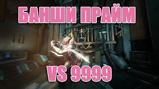 warframe сбой на банши 9999 [upl. by Wixted280]