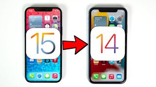 How to Downgrade iOS 15 to iOS 14 Without Losing Data [upl. by Labotsirc446]