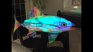 HOW TO CREATE  AN ILLUMINATED FISH LANTERN [upl. by Hurst442]