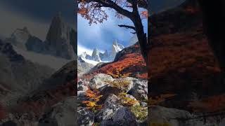 Autumn colors of Patagonia nature beauty relaxing music aesthetic [upl. by Elleiad]