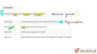 Which of these is an example of gravitropism  CLASS 12  PLANT GROWTH AND DEVELOPMENT  BIOLOG [upl. by Yahsel]