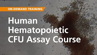 OnDemand Training Human Hematopoietic CFU Assay Course [upl. by Eillen]