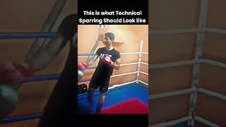 Technical Sparring Fr  shorts [upl. by Oyam760]