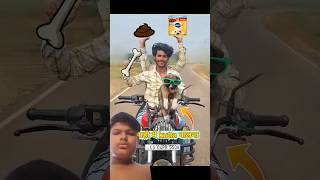 चलती🏍️गाड़ी में kutta🐶बनना funny dog new [upl. by Sorcha536]