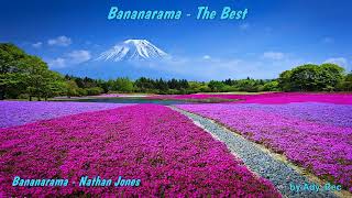 Bananarama  Nathan Jones  Dance Classics 80  Old Music [upl. by Idalla]