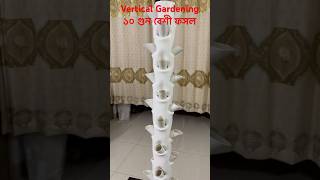 Vertical Gardening Idea gardening verticalgardenideas garden [upl. by Lyrac545]