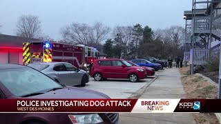 Dogs attack man in West Des Moines [upl. by Lambart]