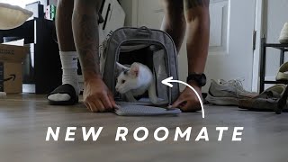 I Got a New Roommate in my Silicon Valley Apartment [upl. by Ogu]