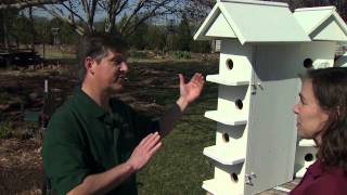 Purple Martin Houses [upl. by Enneire]