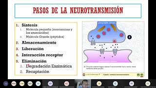 Neurotransmisores y neurotransmisión [upl. by Truda660]