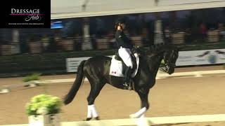 Carl Hester Masterclass The Flying Change in Dressage [upl. by Esiralc]