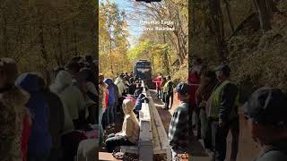 Potomac Eagle Scenic Railroad westvirginia fallvibes fyp 2024 fun shorts travel [upl. by Odnuges]