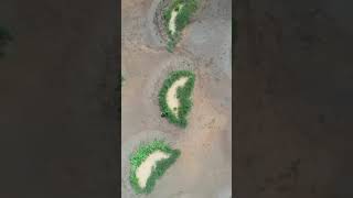 Residents in Arusha Tanzania Transform Desert into Grassland by Digging Pits [upl. by Magavern]