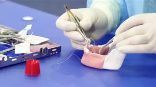 Placing OSSIX® Plus resorbable membrane Part 2  Suturing [upl. by Nels]