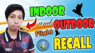 INDOOR and OUTDOOR Flight Recall  My Hand Feed  ABI 🐦🐣 Vlog 14 [upl. by Berte803]