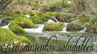 Pensamientos saludables 💚 Meditación guiada Louise Hay [upl. by Botnick]