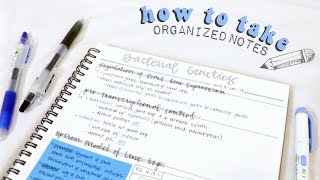 how to take organized notes amp study effectively  christylynn [upl. by Phelgon]