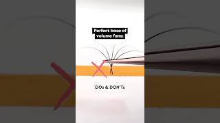 Dos and Donts For Perfect Base of Volume Lash Fans lashextensions volumelashes shorts [upl. by Ledniahs]