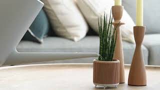 Mini Planters  Refined Nook [upl. by Gibby]