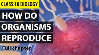 How Do Organisms Reproduce Class 10 Full Chapter Animation  Class 10 Science Chapter 8  NCERT [upl. by Werdn]