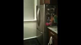 Defective Sears Kenmore Elite Refrigerator  Burning Bulbs [upl. by Ahsit]