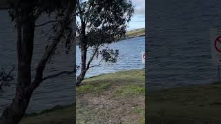 Ben Chifley dam fishing Bathurst fishing yew [upl. by Aihtekal]