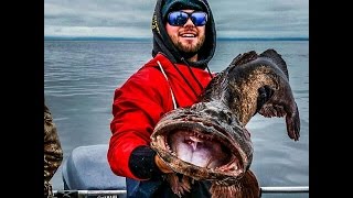 Seward Alaska Fishing  Silver Salmon Lingcod amp Rockfish [upl. by Edgar598]