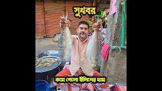 সুখবর কমে গেলো ইলিশের দাম ll ilish fish New update ll [upl. by Rora]