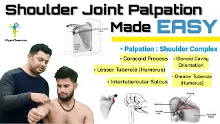 SHOULDER JOINT PALPATION  IMPROVE YOUR PALATORY ASSESSMENT SKILLS [upl. by Aselehc75]