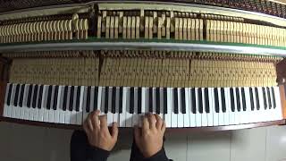 Cóncavo y Convexo Roberto Carlos cover PIANO Acústico Instrumental [upl. by Allenad]