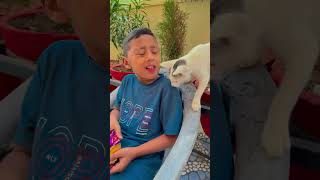 Mother love ❤️🥰 shorts trending viralvideo love maa ytshorts [upl. by Aerdnahc]