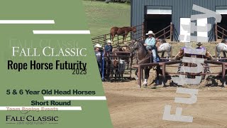 Fall Classic Rope Horse Futurity 2023  5amp6 yr Head Horses Short Round [upl. by Ruggiero]