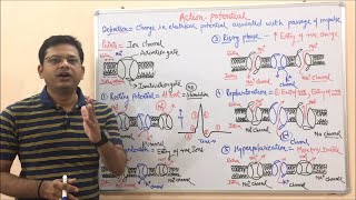 Class 452 Action Potential  Depolarization  Repolarization  Hyperpolarization  Medichem 01 [upl. by Enar]