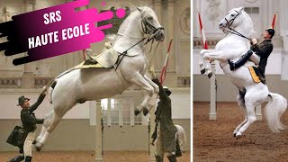 Spanish Riding School Haute Ecole Airs Above The Ground White Lipizzaner Stallions [upl. by Koval]