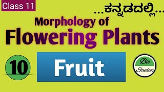 Class 11 ಕನ್ನಡದಲ್ಲಿ  Morphology of Flowering Plants  10  Fruit [upl. by Archle]