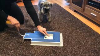 Dog Nail Clipping  an easy and no stress alternative [upl. by Nylemaj]