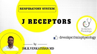 J receptors [upl. by Eelam]