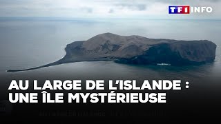 Au large de l’Islande  une île mystérieuse｜TF1 INFO [upl. by Stevenson]