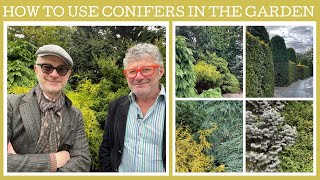 How to use conifers in the garden tips and ideas [upl. by Leind]