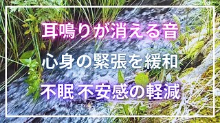 【耳鳴り治療音】自律神経を整え耳鳴りを軽減する音 [upl. by Aiam]