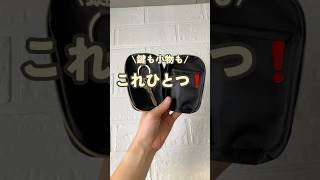 【100均】これひとつでカバンの中は大丈夫！！！300均 100均購入品 100均新商品 ダイソーダイソーパトロールセリアワッツキャンドゥ [upl. by Wendalyn]