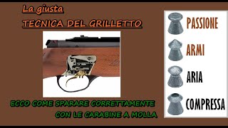 come sparare con le carabine a molla  controllo del grilletto [upl. by Ssidnac]