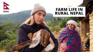 72 hours Farmers Life in Rural Nepal 🇳🇵 [upl. by Oruntha]