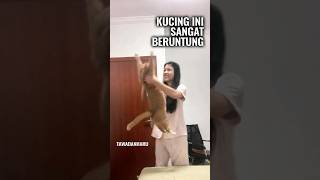 Kucing Manja dan Wanita Penuh Kasih [upl. by Ynobe]