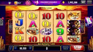 Cashman Casino Las Vegas Slots Gameplay Buffalo Gold Collection iOS [upl. by Hinze121]